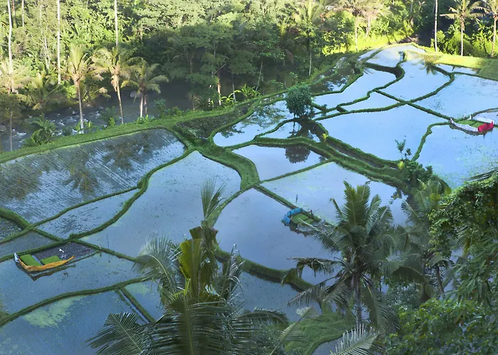 Umah Tampih Luxury Private - Chse Certified Ubud