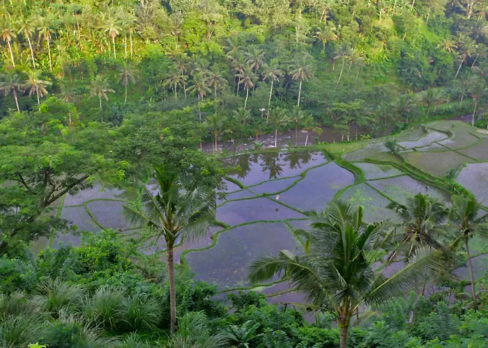 Umah Tampih Luxury Private - Chse Certified Villa Ubud
